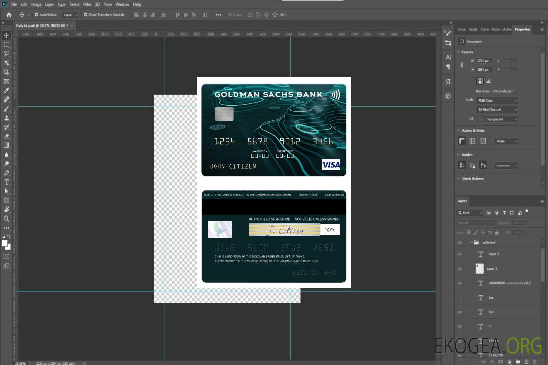 Carte visa USA Goldman Sachs Bank template Carte visa USA Goldman Sachs Bank template